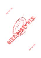 DISTANZIALE CONICO ROSSO per Triumph SPEED TRIPLE S