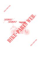 ADESIVI per Triumph STREET TRIPLE 675 2013 -